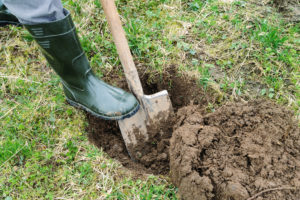 Shovel in ground overturning dirt